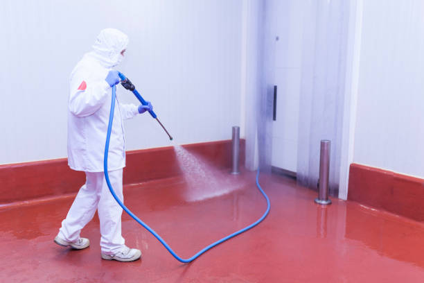 Best Restaurant Pressure Washing  in Wtell, LA